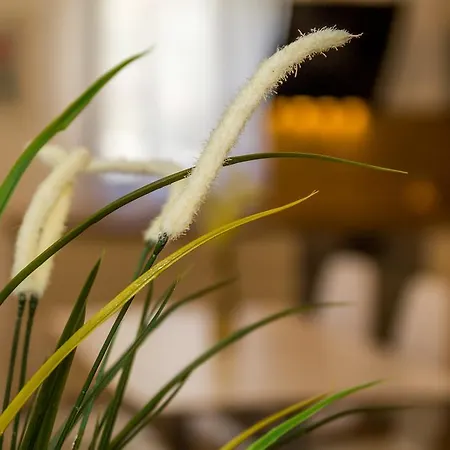 Near Opatija * Kastav